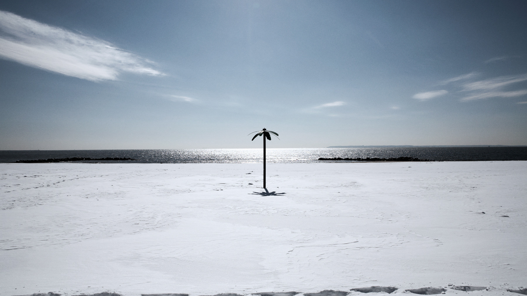 A Coney Island of the Mind