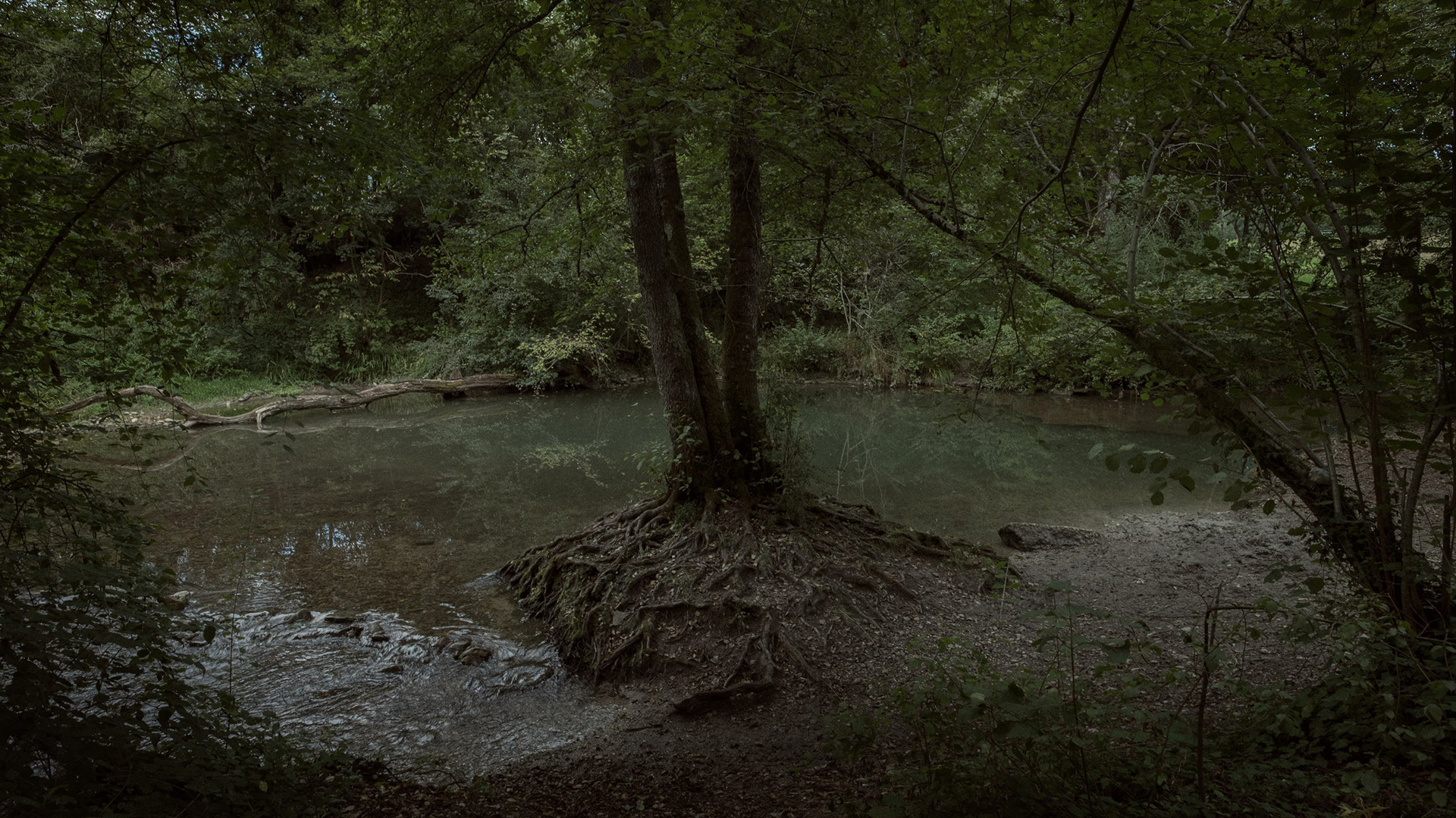 Going To See The River Man 2