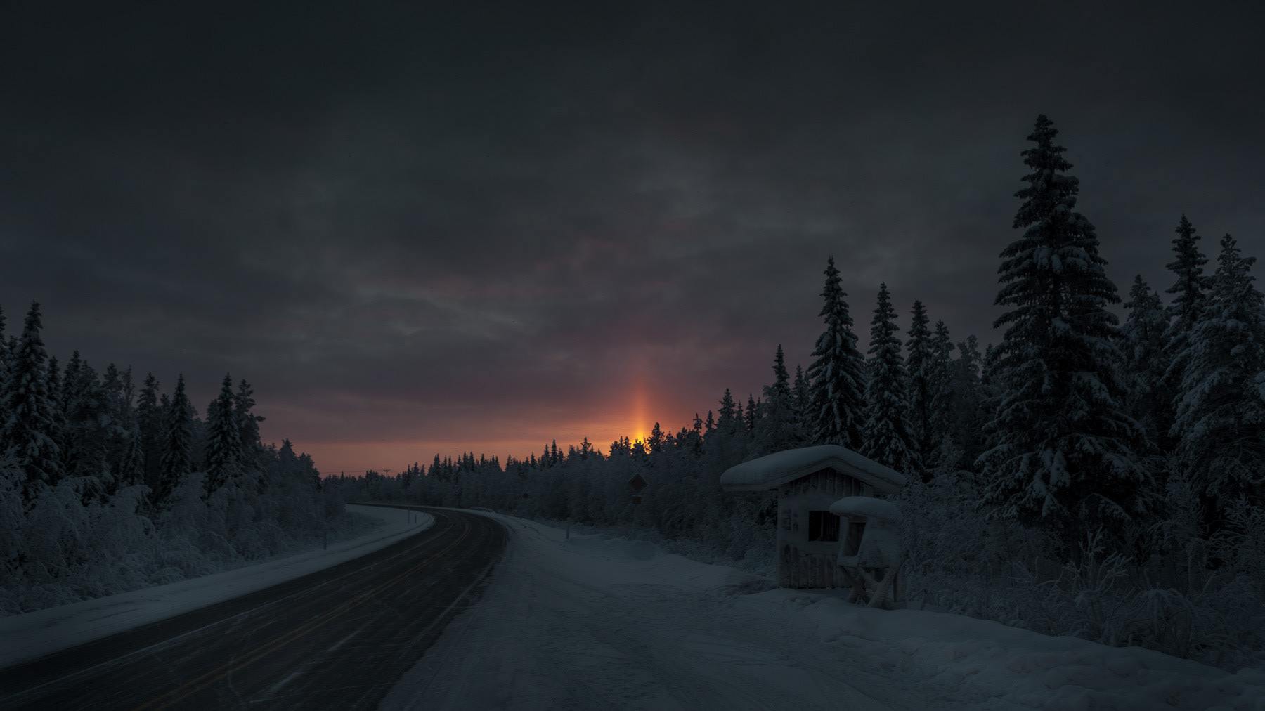 Into The Dark
