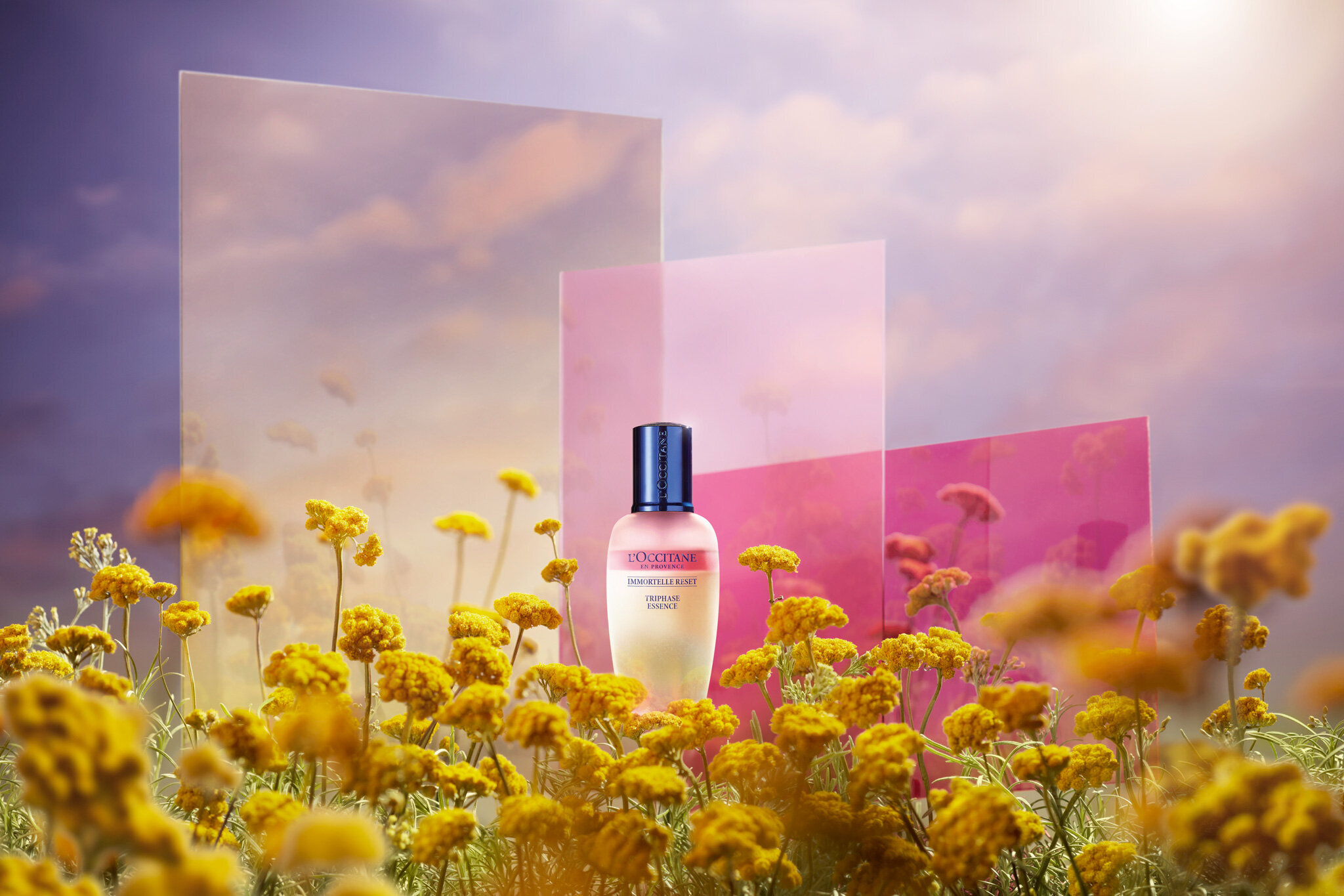 L’Occitane en Provence - Immortelle Reset Triphase Essence 5