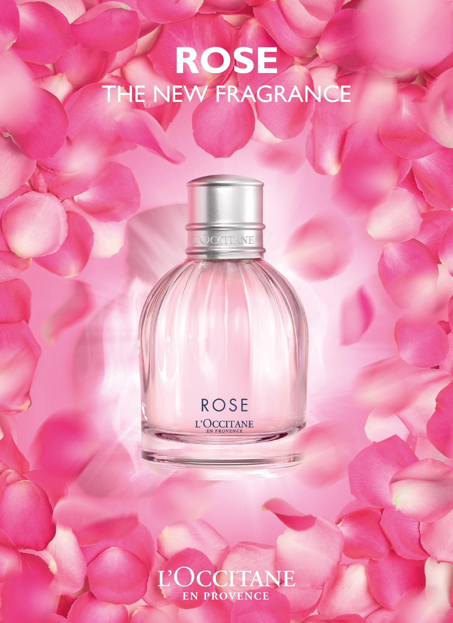 L'Occitane en Provence - Rose 1