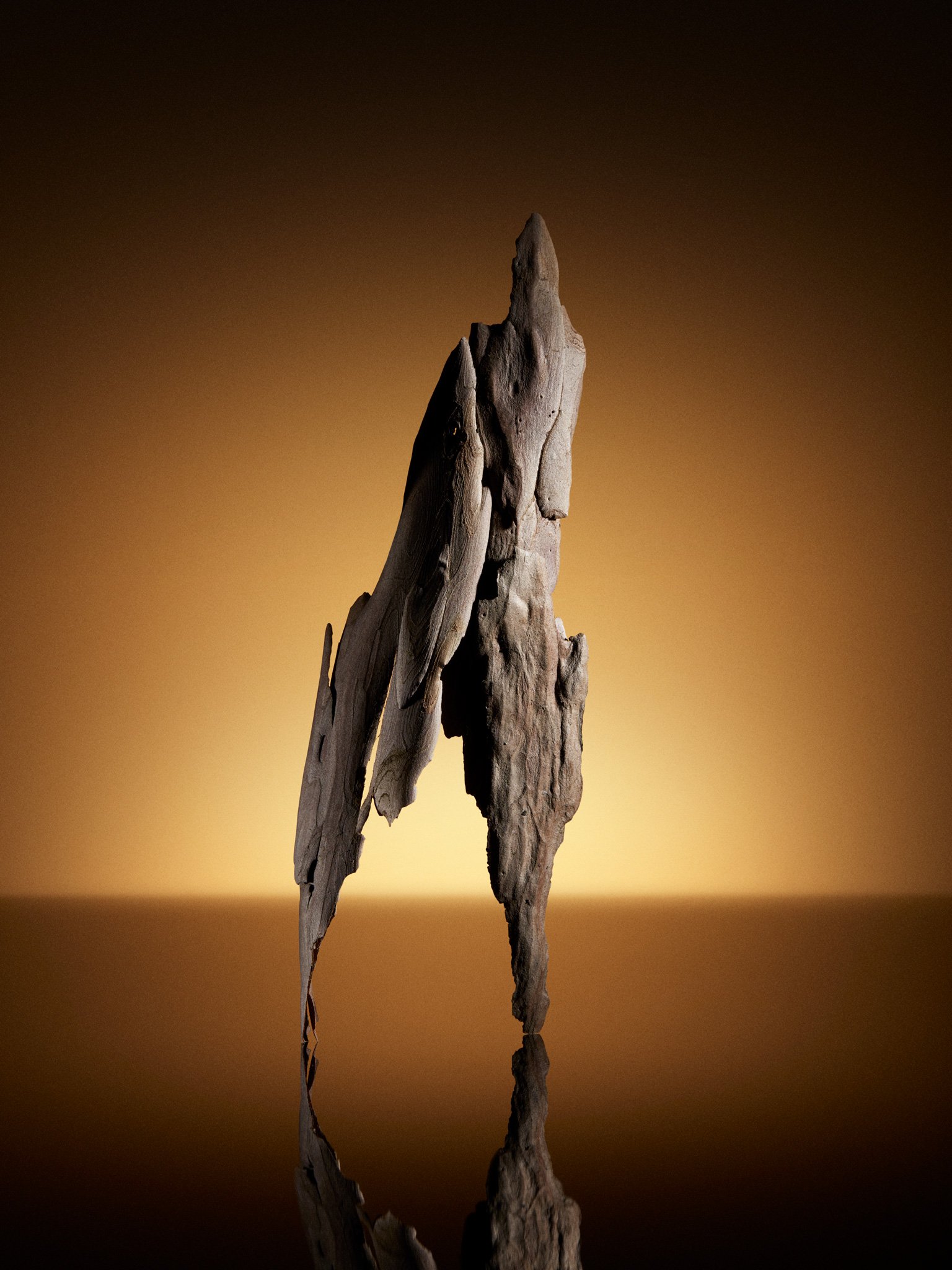 Relics 1