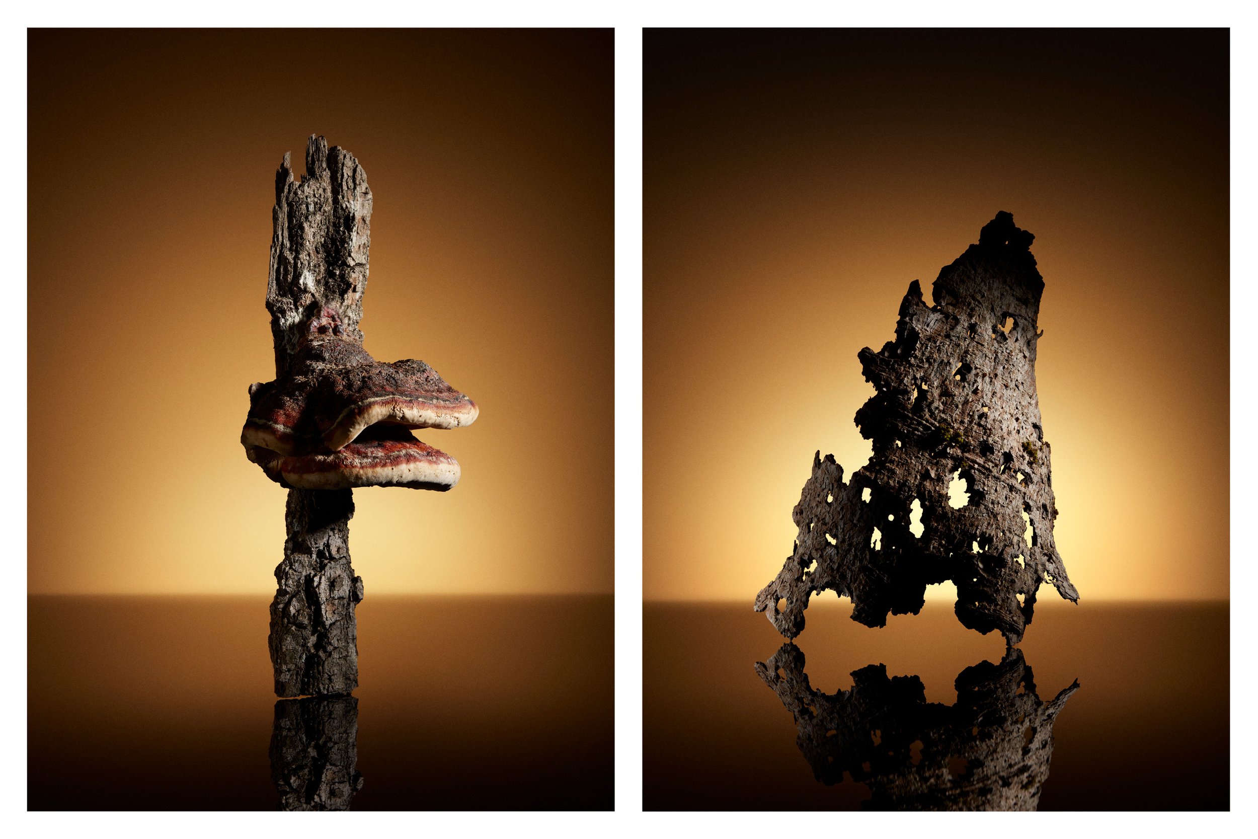 Relics 2
