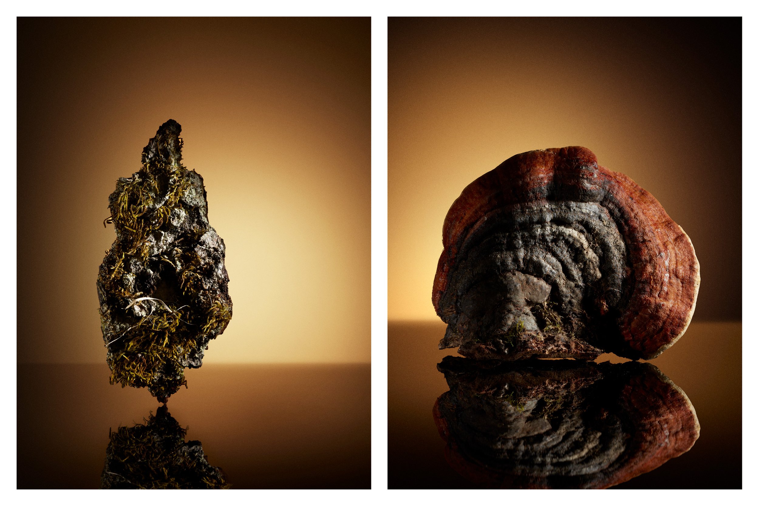 Relics 3