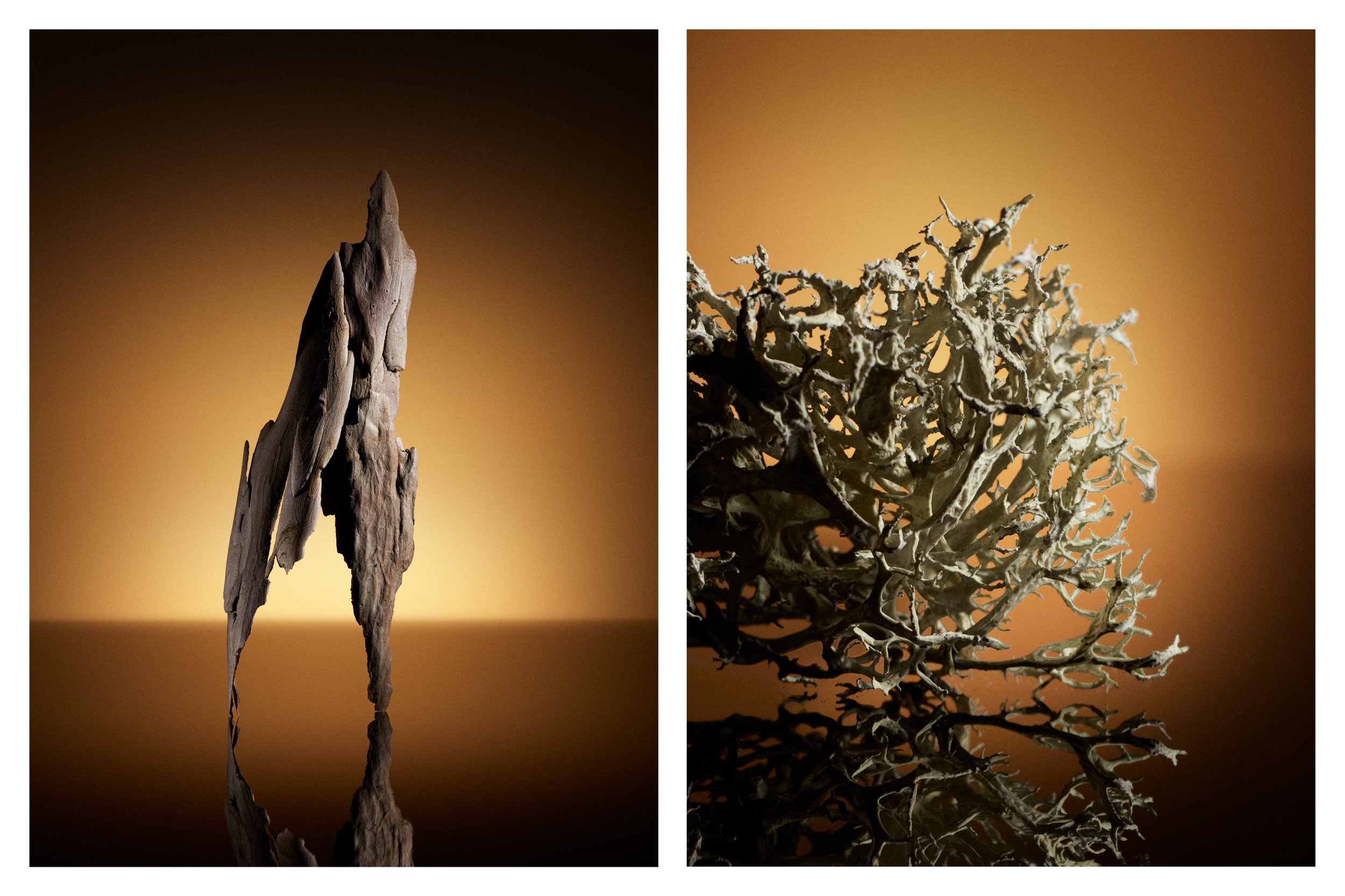 Relics 4