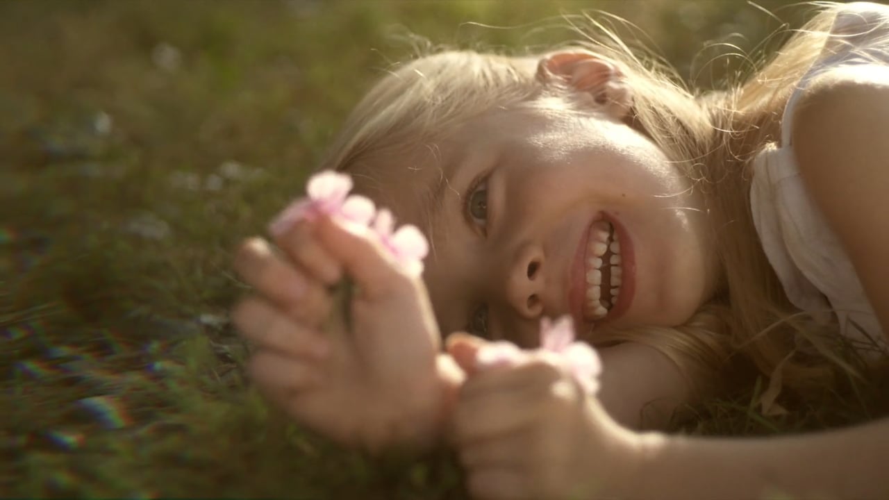 Schilliger - Le Printemps