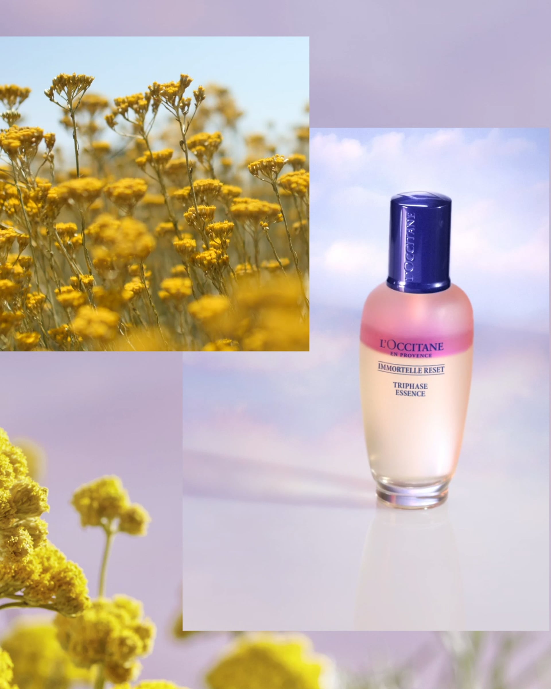 L'Occitane en Provence - Immortelle Reset Essence - Balance