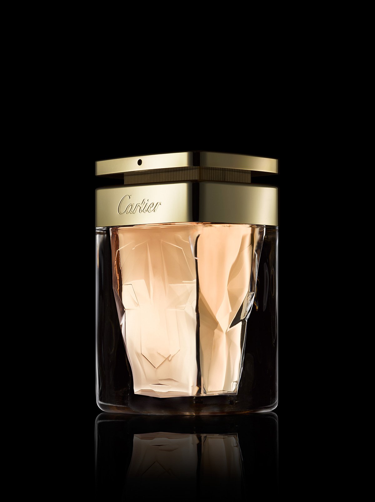 Cosmetics 23