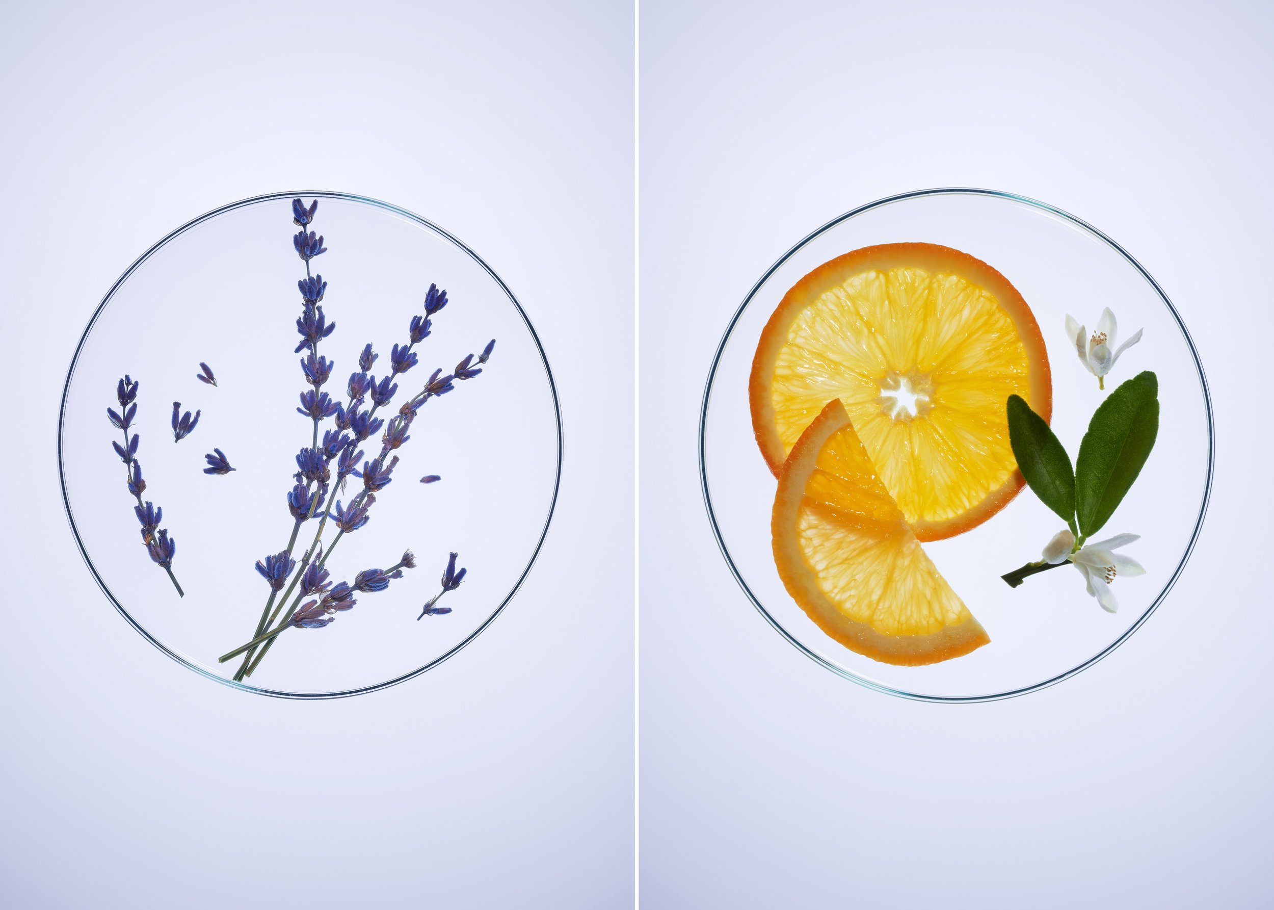 Ingredients 35