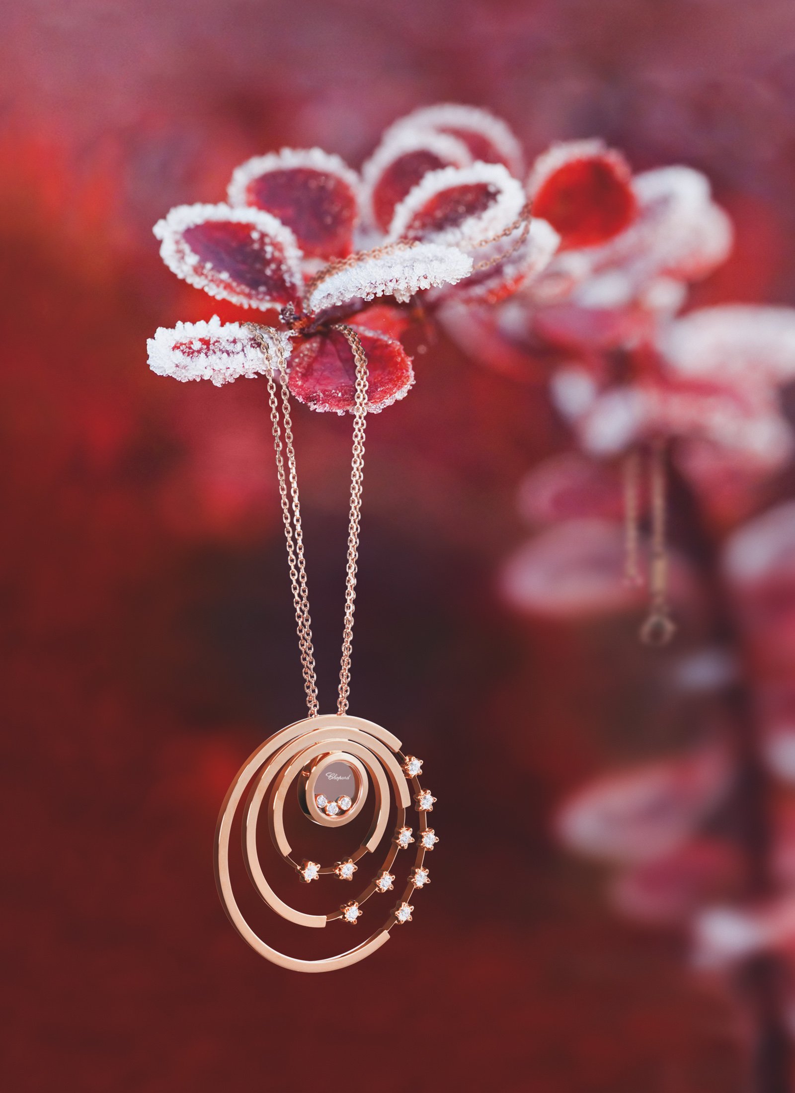 Jewelry 41